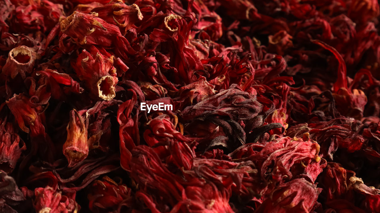 red, plant, full frame, backgrounds, flower, no people, dried food, close-up, abundance, chili pepper, food and drink, food, nature, large group of objects, pepper, beauty in nature, dry, leaf, red chili pepper