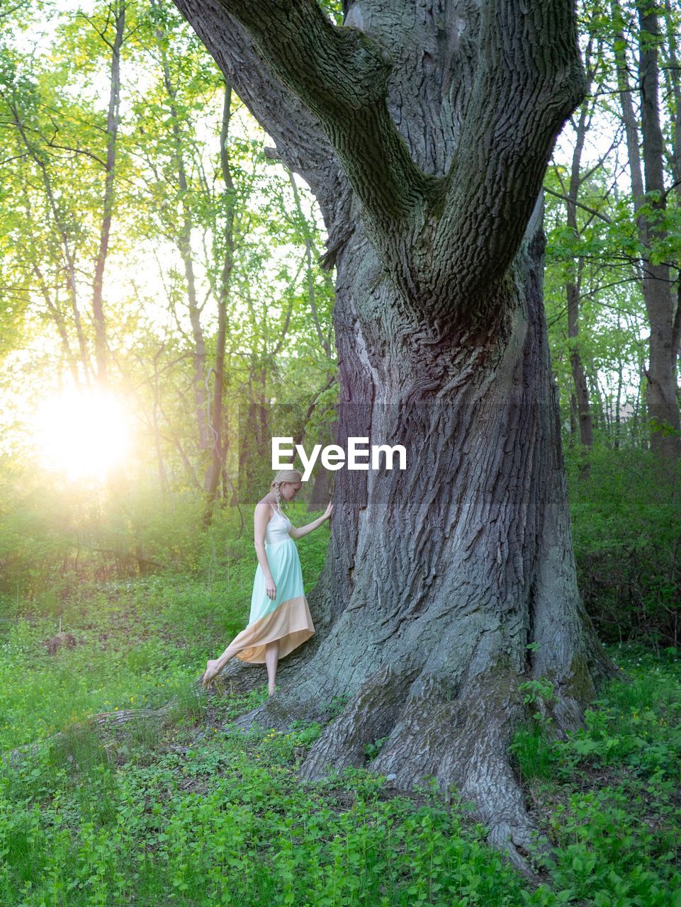 Woman standing by tree trunk in forest