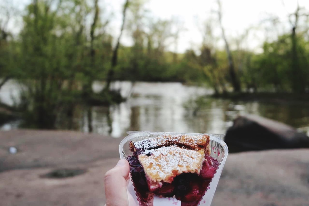 Cropped image of hand holding dessert in container against lake