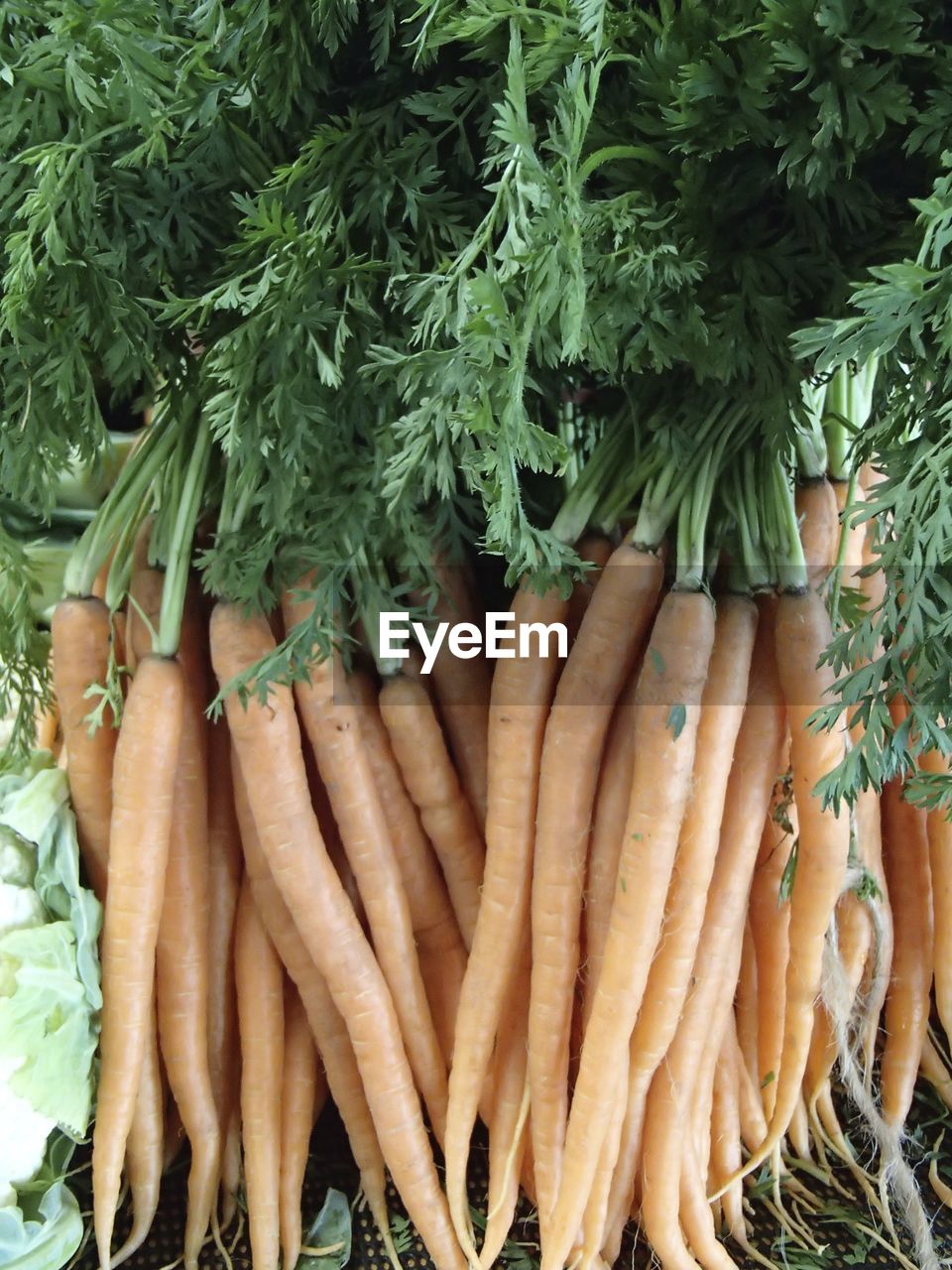 High angle view of carrots for sale in market