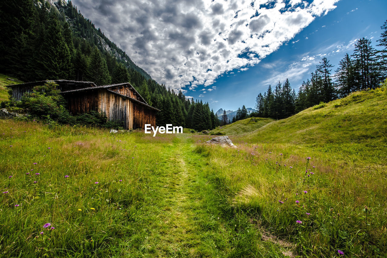 Scenic view of landscape against sky