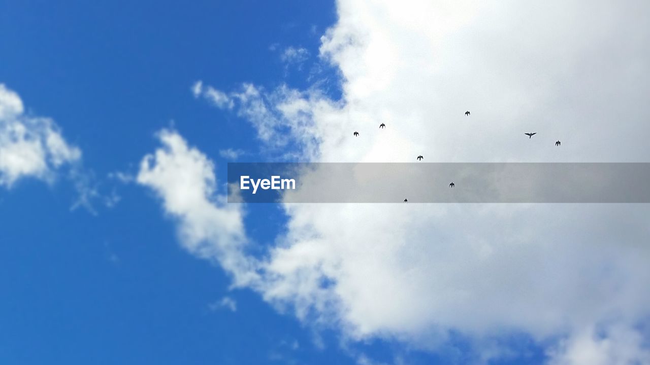 Low angle view of silhouette birds flying against cloudy sky