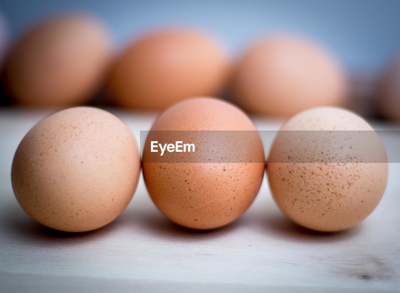 Close-up of eggs on table