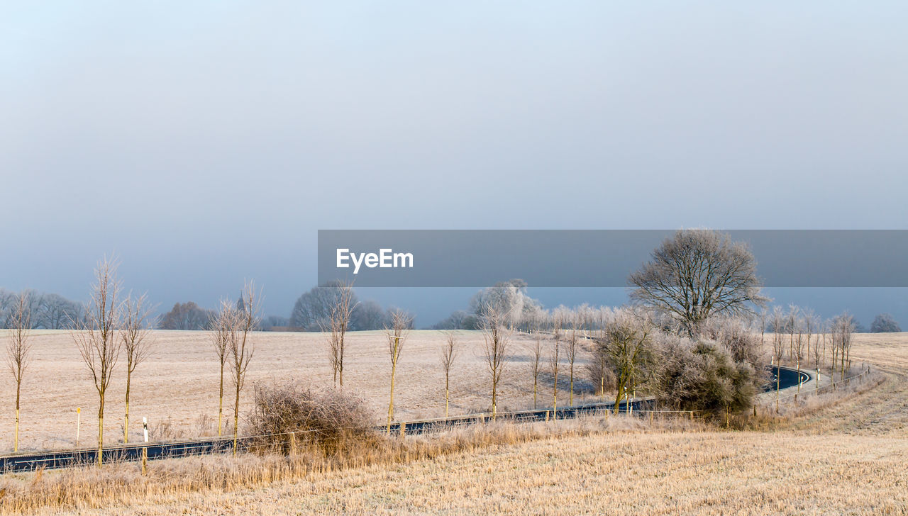 Trees on field against clear sky