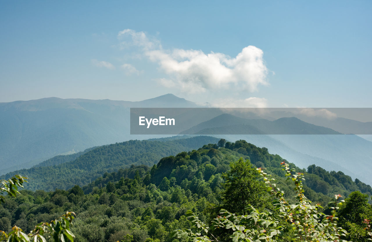 The view from beech forest from top of the mountain in the sunlight, gilan province, iran