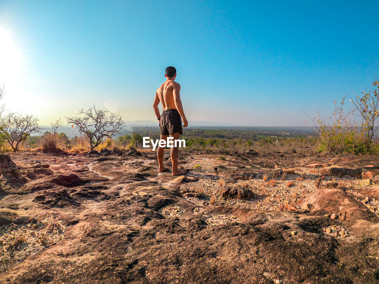 Rear view of man standing on land