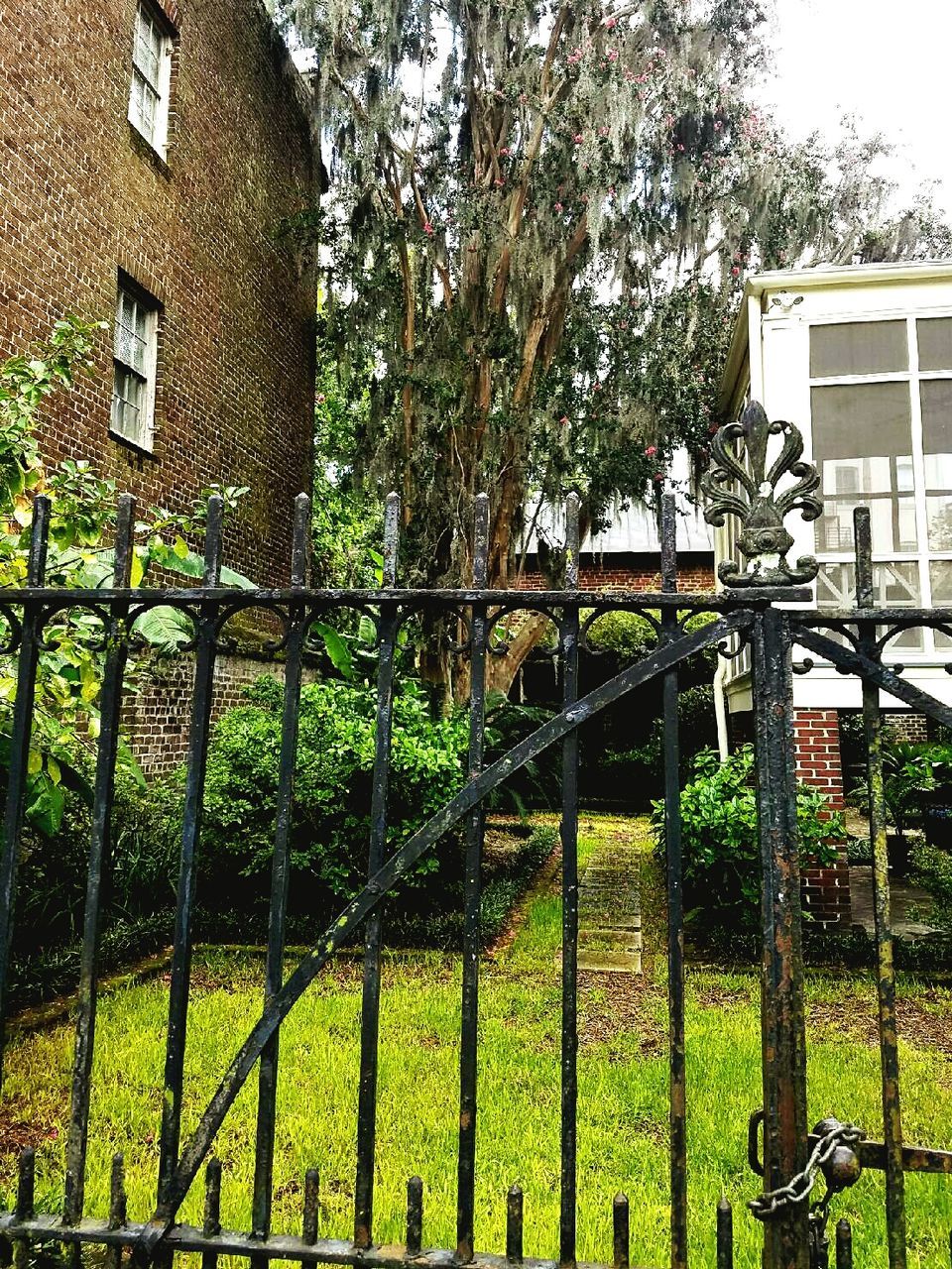 FENCE IN FRONT OF GATE