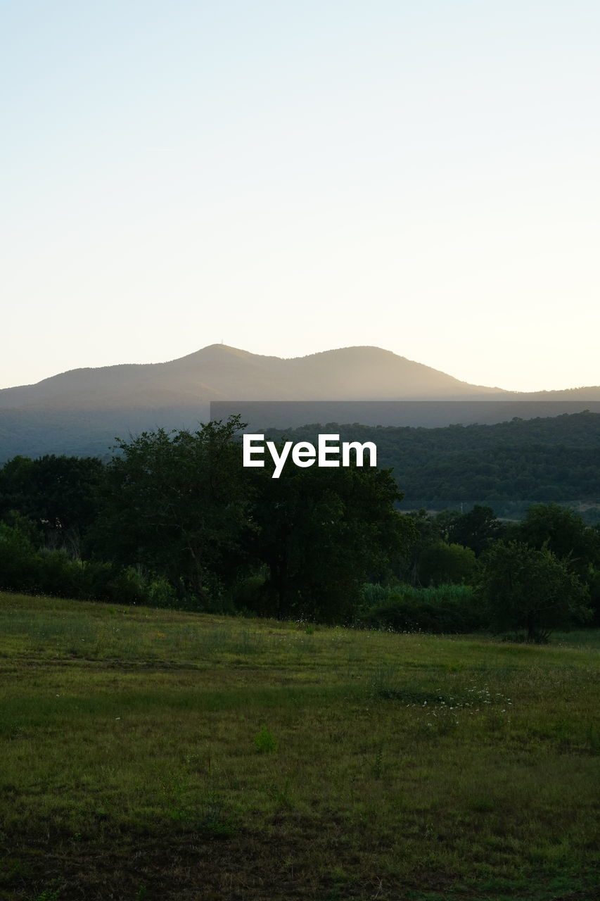 Scenic view of landscape against clear sky