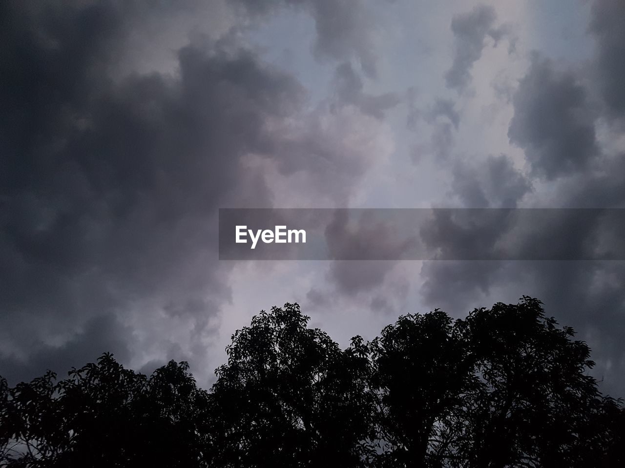 LOW ANGLE VIEW OF SILHOUETTE TREES AGAINST SKY