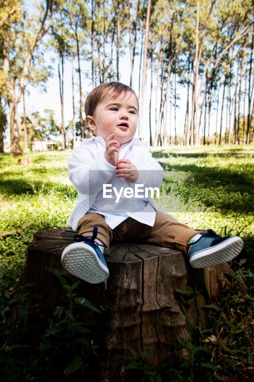 Full length of boy looking away while sitting on tree stump