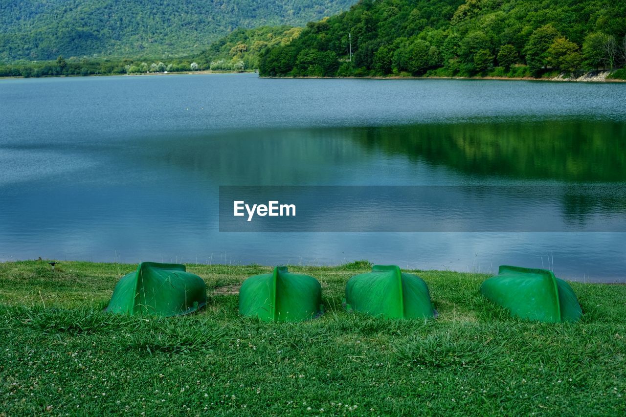 water, green, plant, nature, lake, scenics - nature, beauty in nature, tranquility, grass, no people, tranquil scene, environment, reservoir, land, mountain, landscape, reflection, meadow, tree, day, natural environment, body of water, wilderness, outdoors, non-urban scene, growth