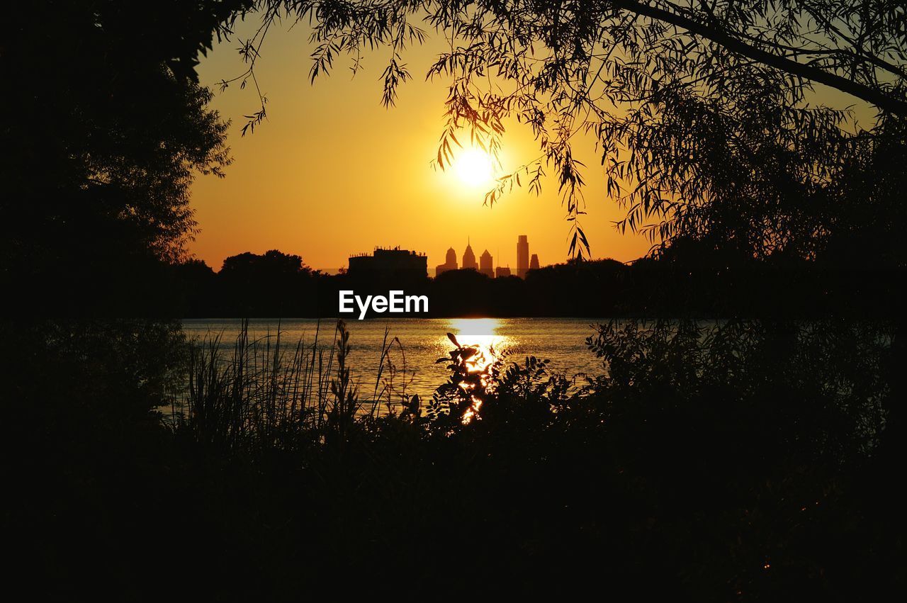 Silhouette trees and plants growing on field against lake during sunset