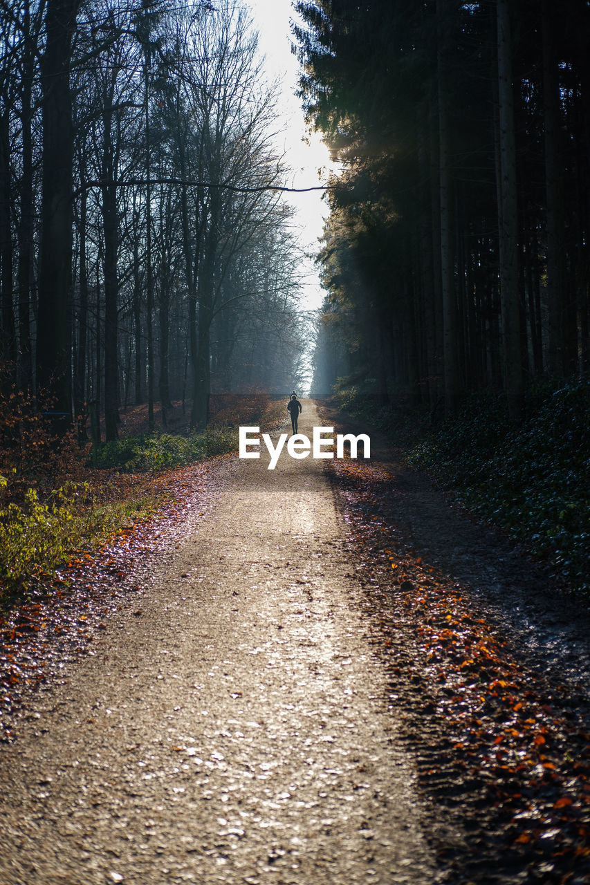 Man walking on footpath amidst trees in forest
