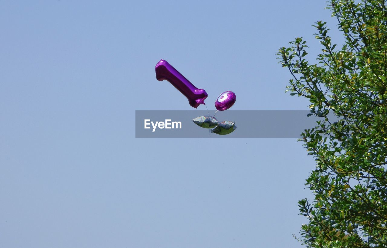 LOW ANGLE VIEW OF MULTI COLORED BALLOONS