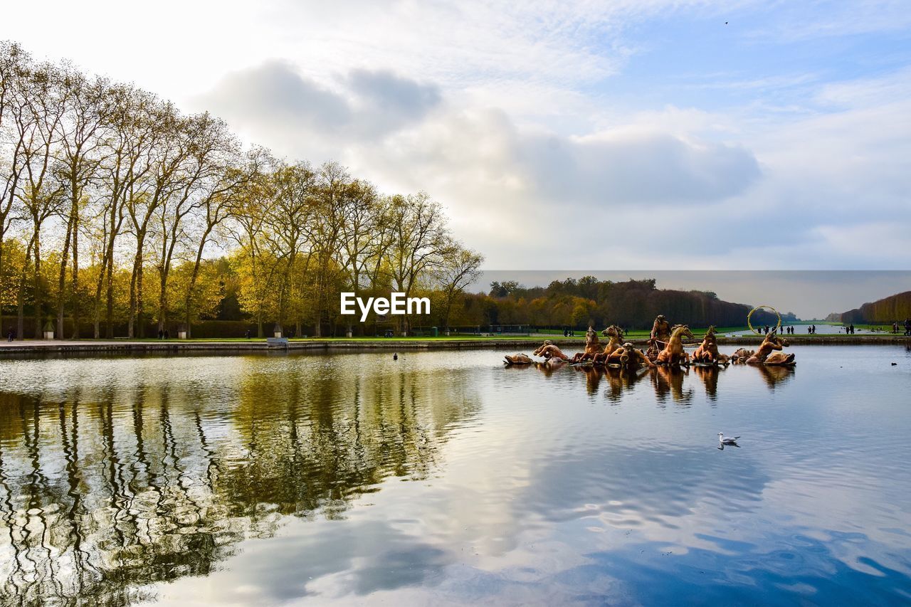 VIEW OF SWAN IN LAKE AGAINST SKY