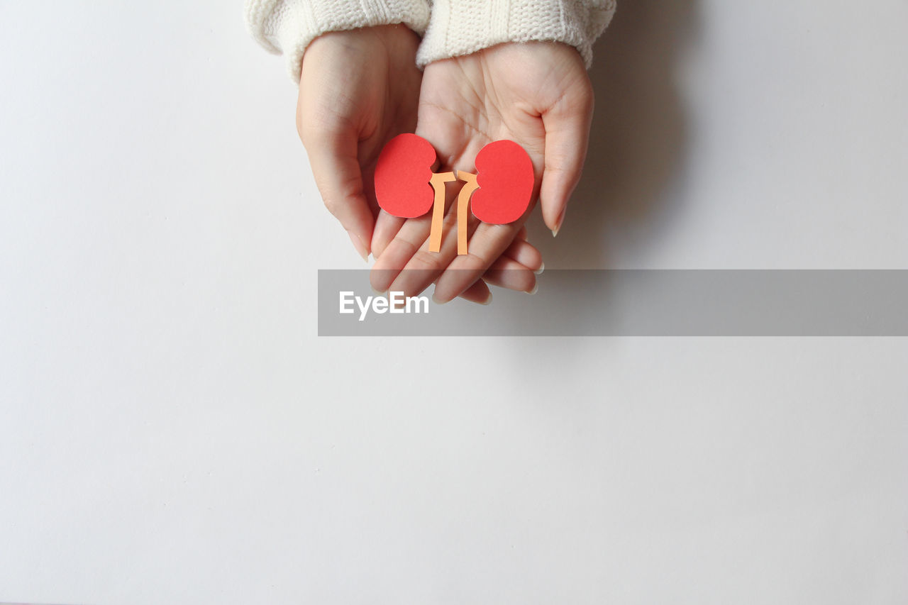 cropped hand of woman holding gift box on white background