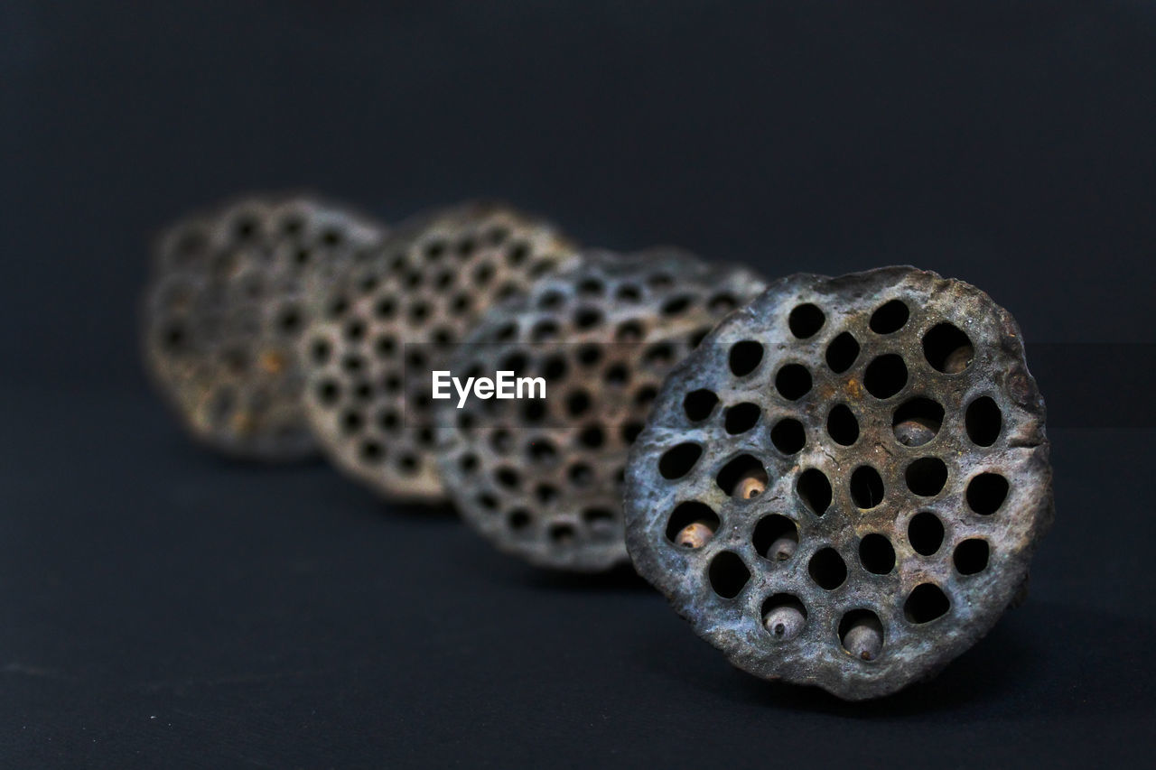 Close-up of lotus plant pod on black background