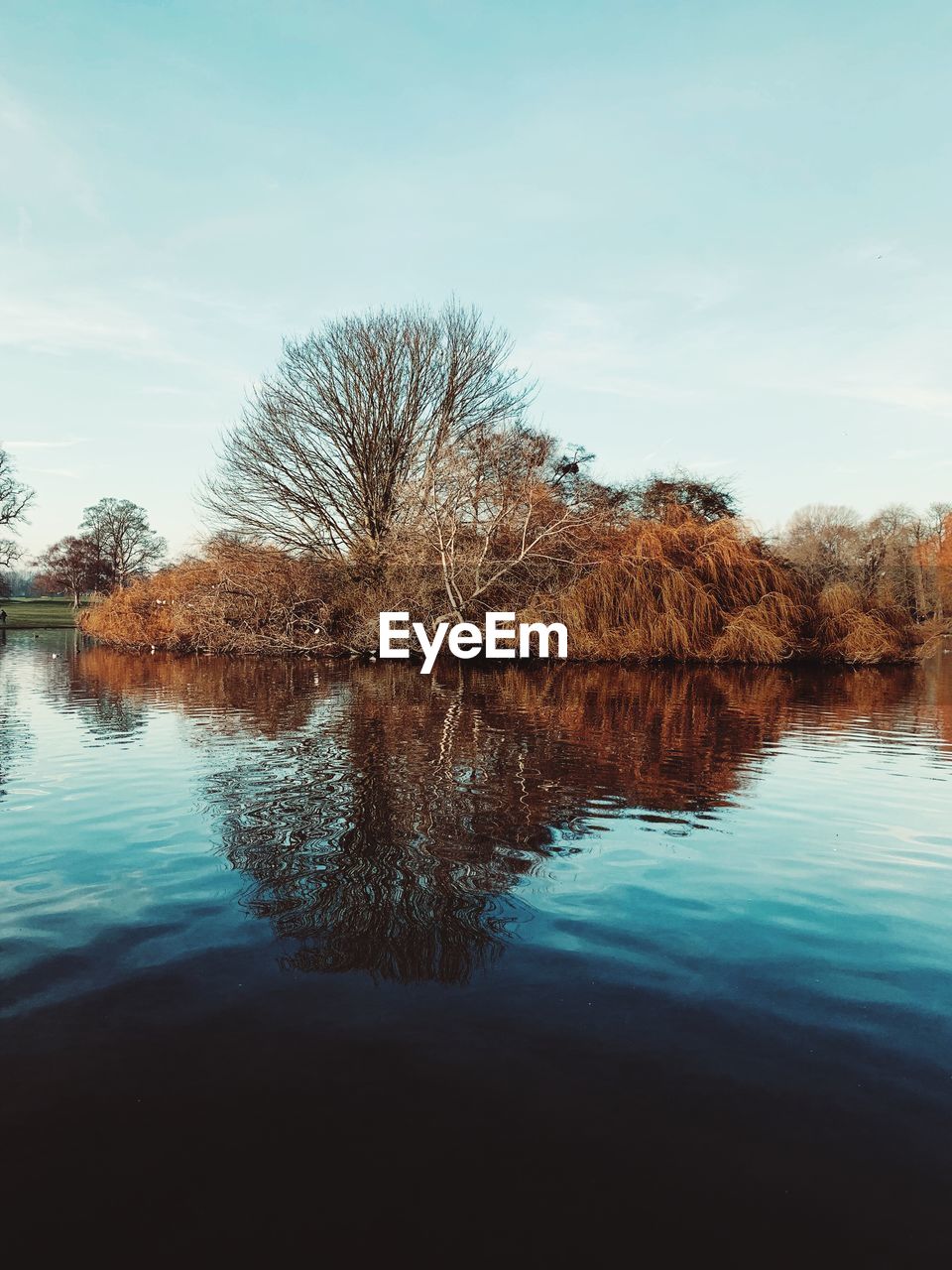 Reflection of tree in lake against sky