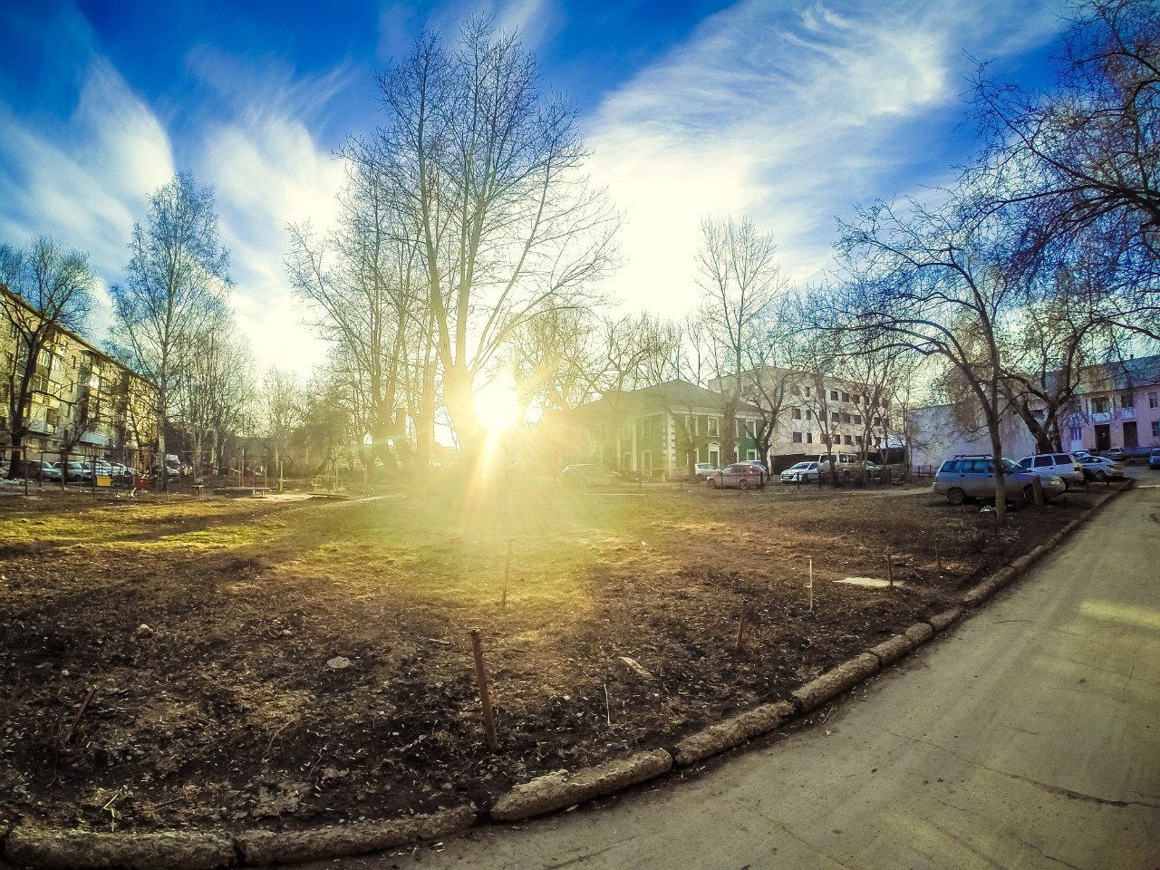 VIEW OF BARE TREES IN CITY