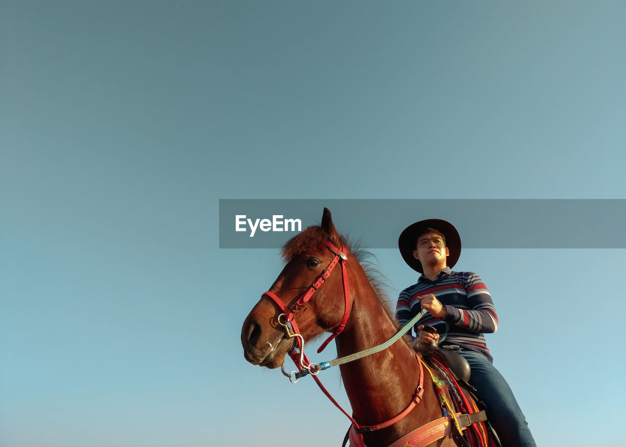 Low angle view of young man looking away while siting on horse against clear sky