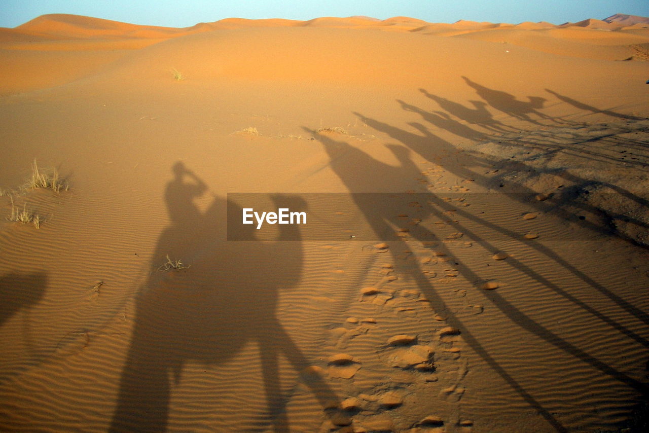 Shadow of people on sand dune in desert