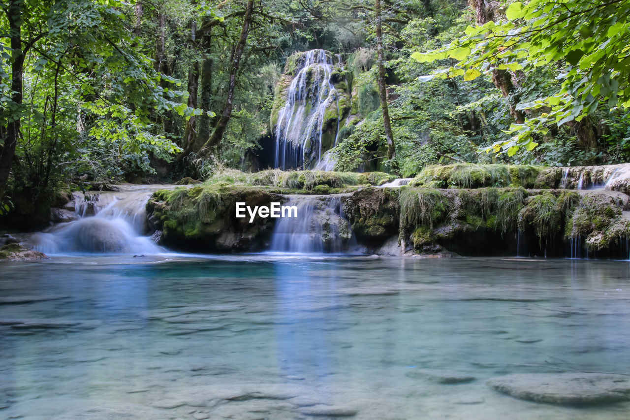 VIEW OF WATERFALL IN FOREST