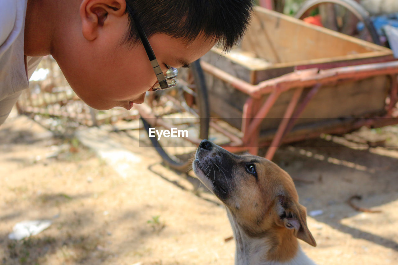 Close-up of boy looking at dog