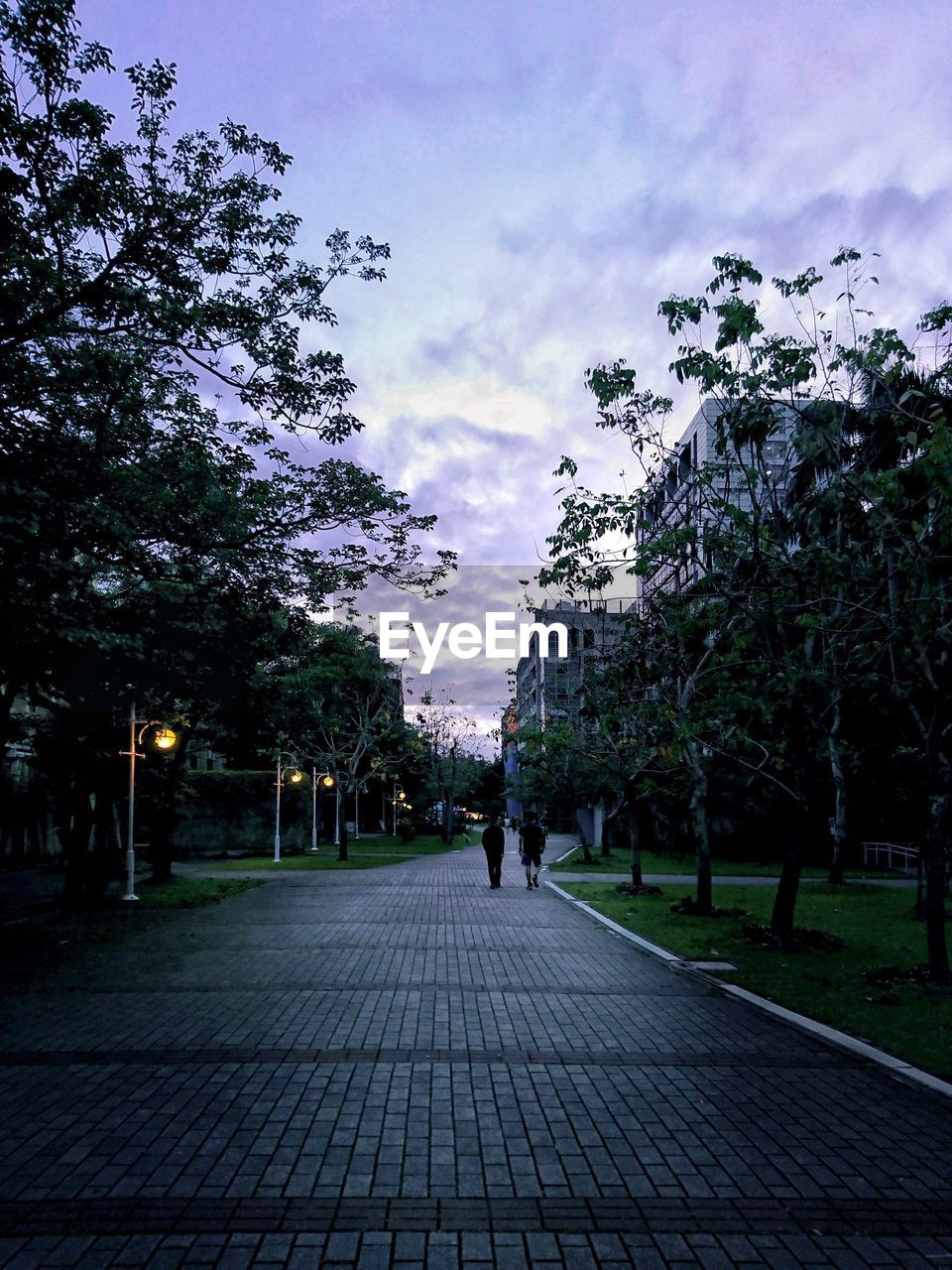 MAN WALKING BY TREES IN CITY