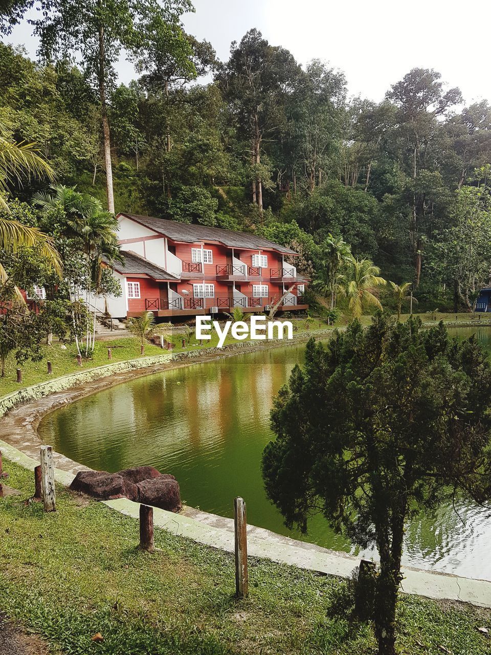 TREES AND PLANTS BY LAKE AGAINST BUILDING