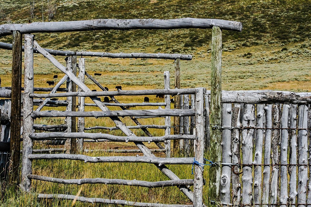 Empty pen on grassy field