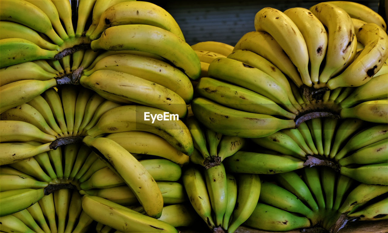 Close-up of fresh bananas for sale in market