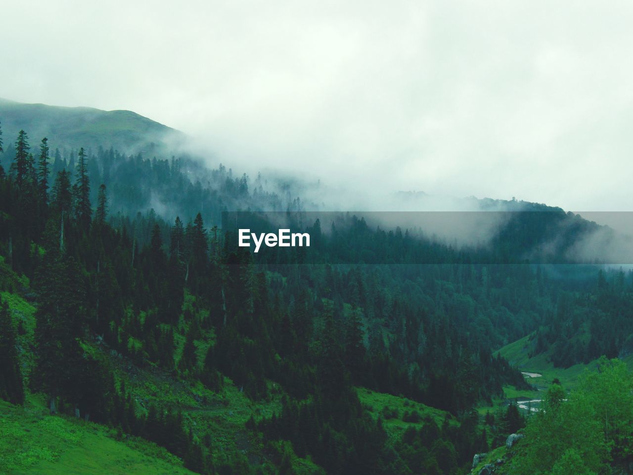 Scenic view of trees and mountains against sky