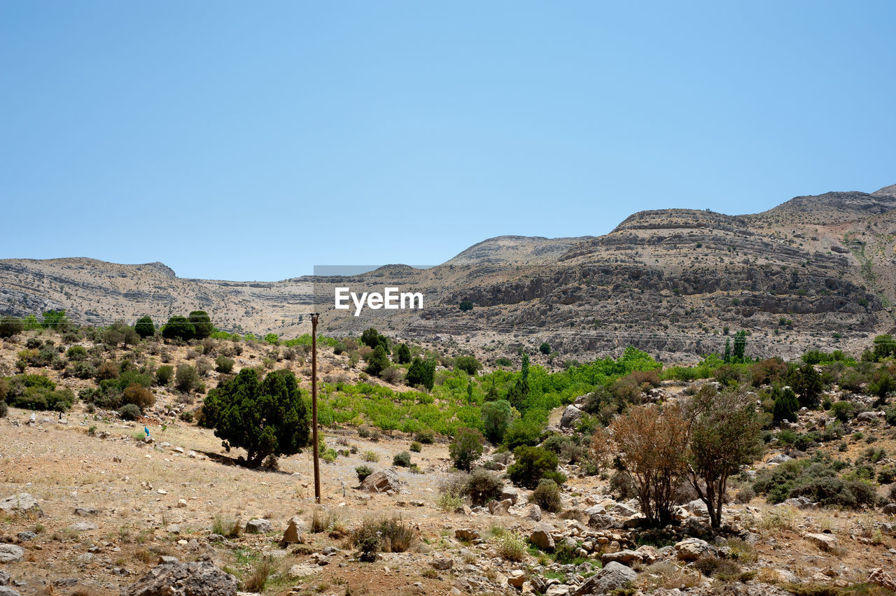 SCENIC VIEW OF DESERT AGAINST CLEAR BLUE SKY