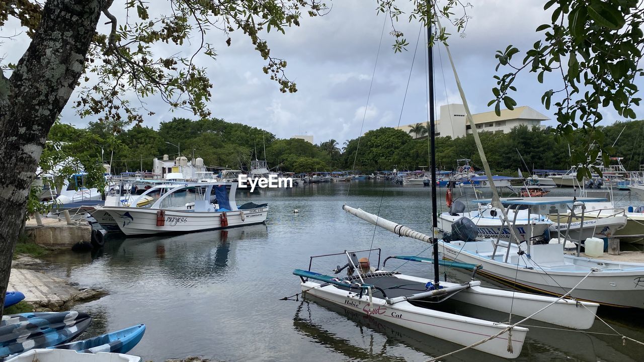 BOATS MOORED IN HARBOR AT RIVERBANK