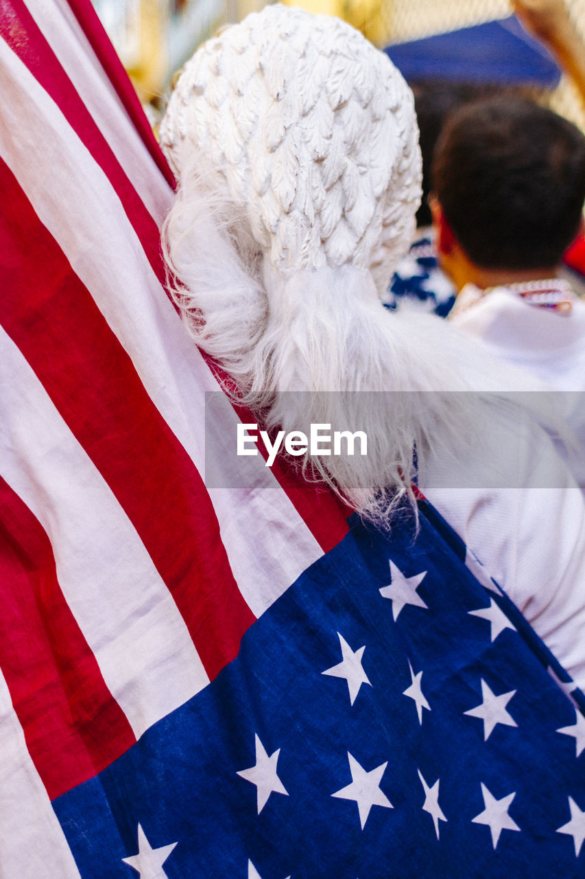 Rear view of person with american flag at event