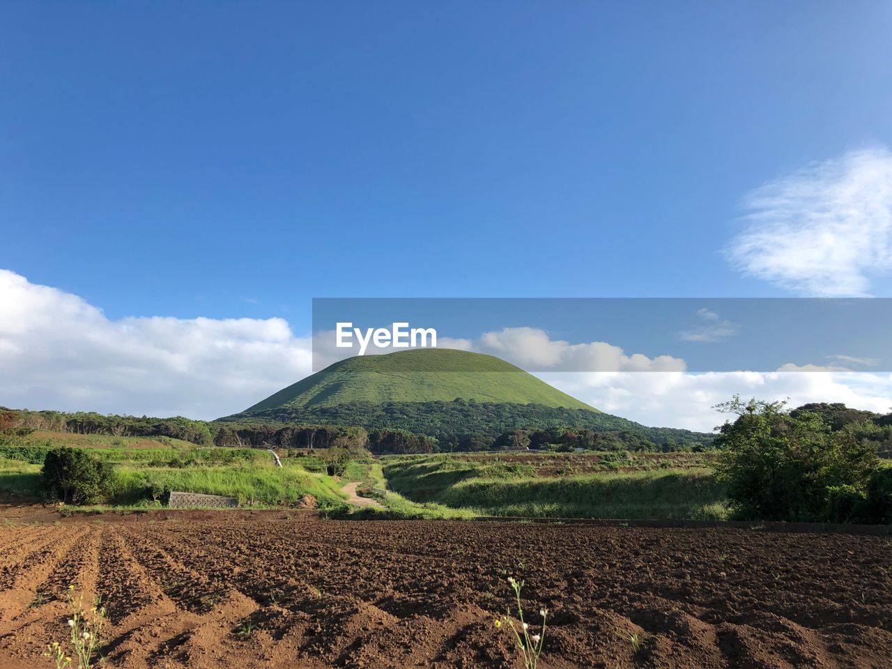 SCENIC VIEW OF FARM AGAINST SKY