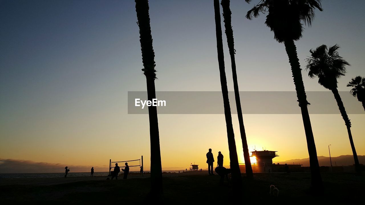 Silhouette people and palm trees at beach against clear sky during sunset