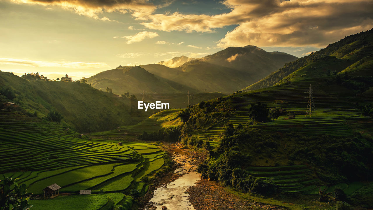 Scenic view of agricultural field against sky during sunset