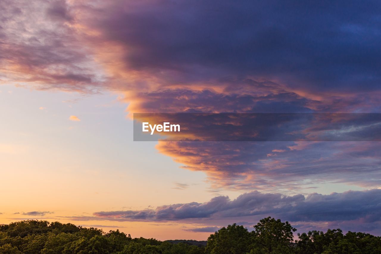 LOW ANGLE VIEW OF TREES AGAINST SKY DURING SUNSET