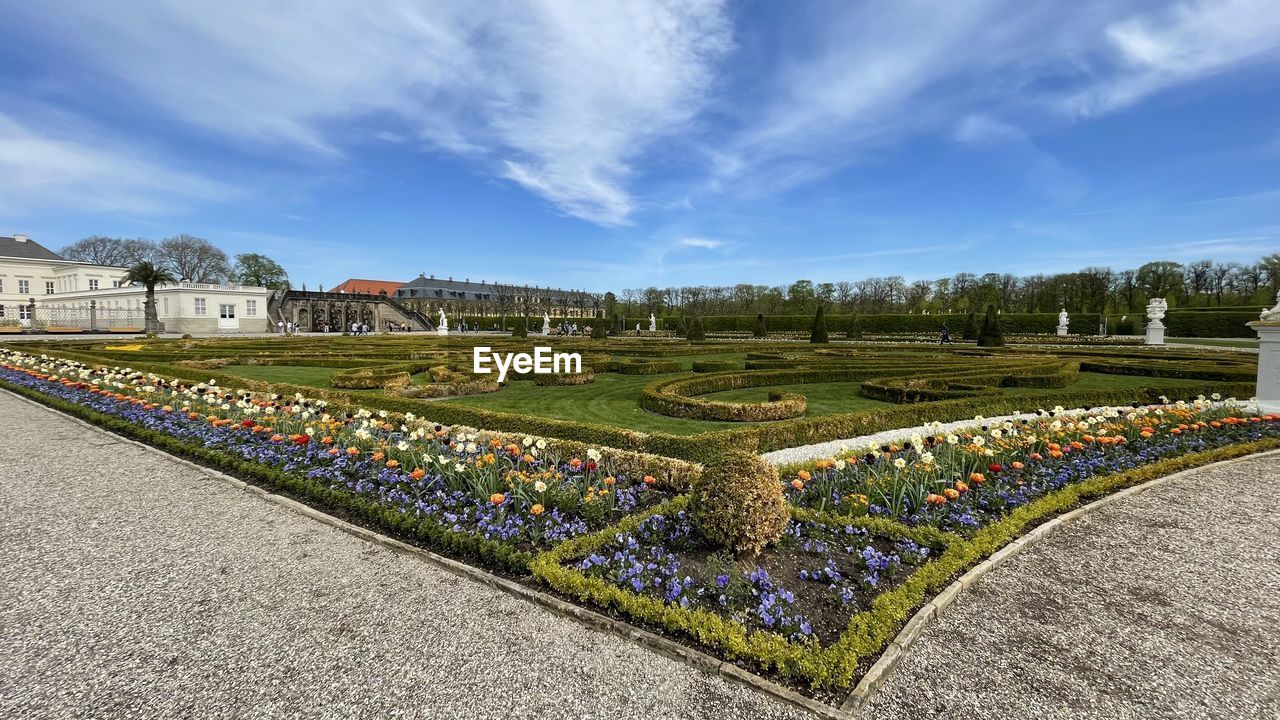 VIEW OF FLOWERING PLANTS IN PARK