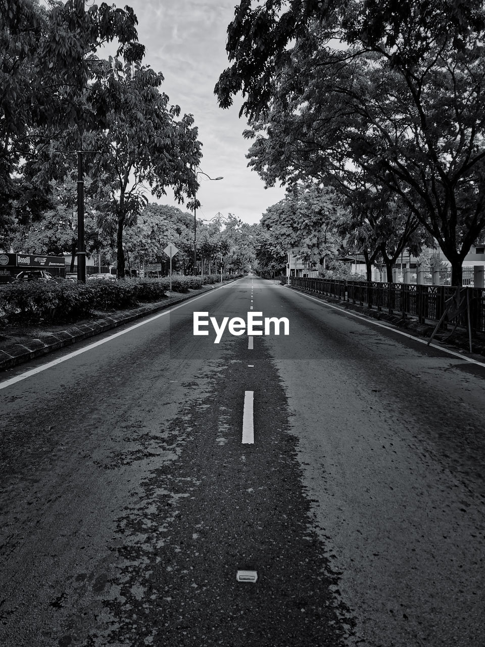 EMPTY ROAD BY TREES IN CITY AGAINST SKY