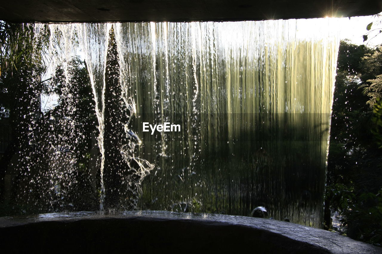 VIEW OF TREES IN WATER