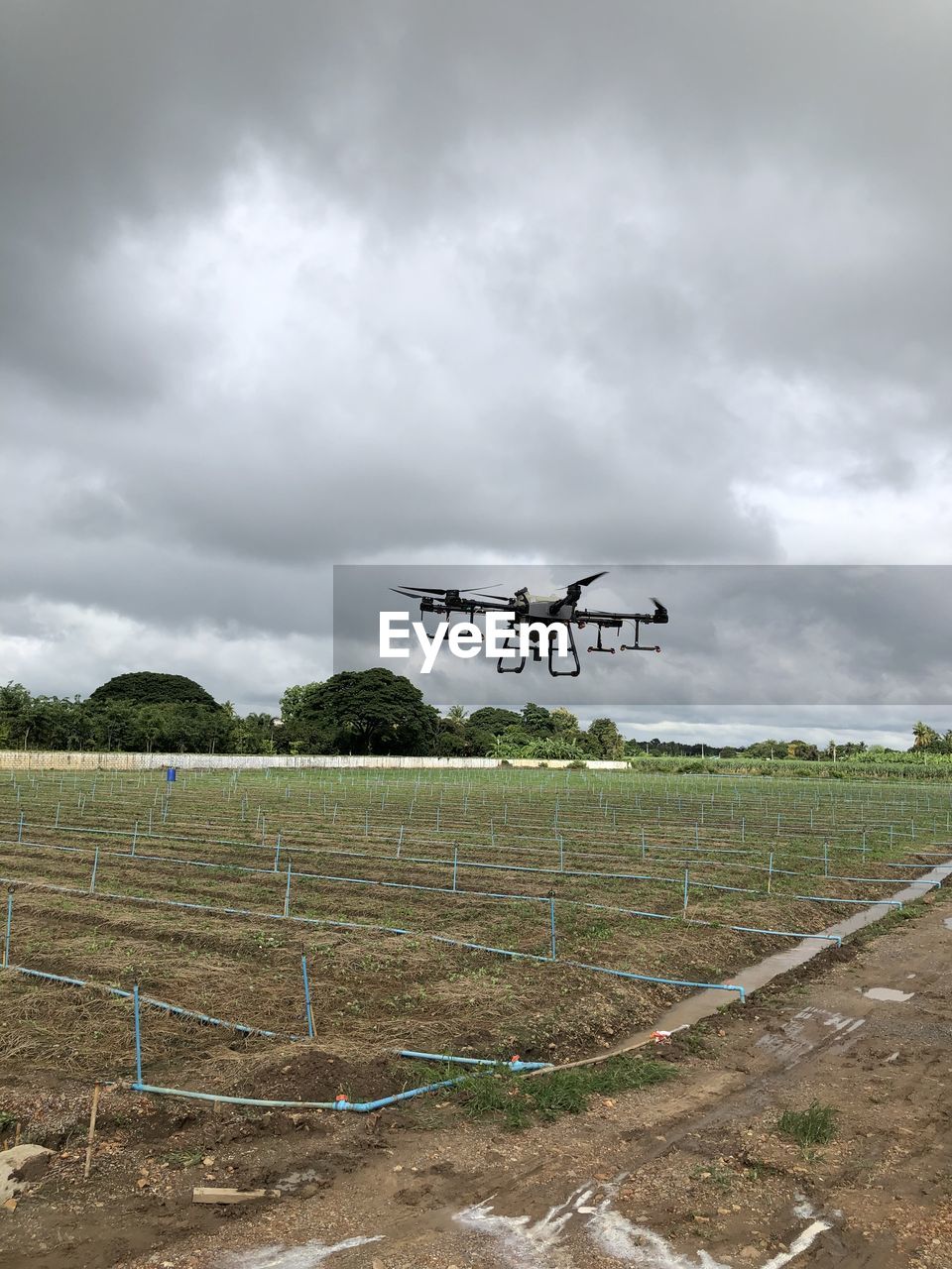 Airplane flying over field against sky