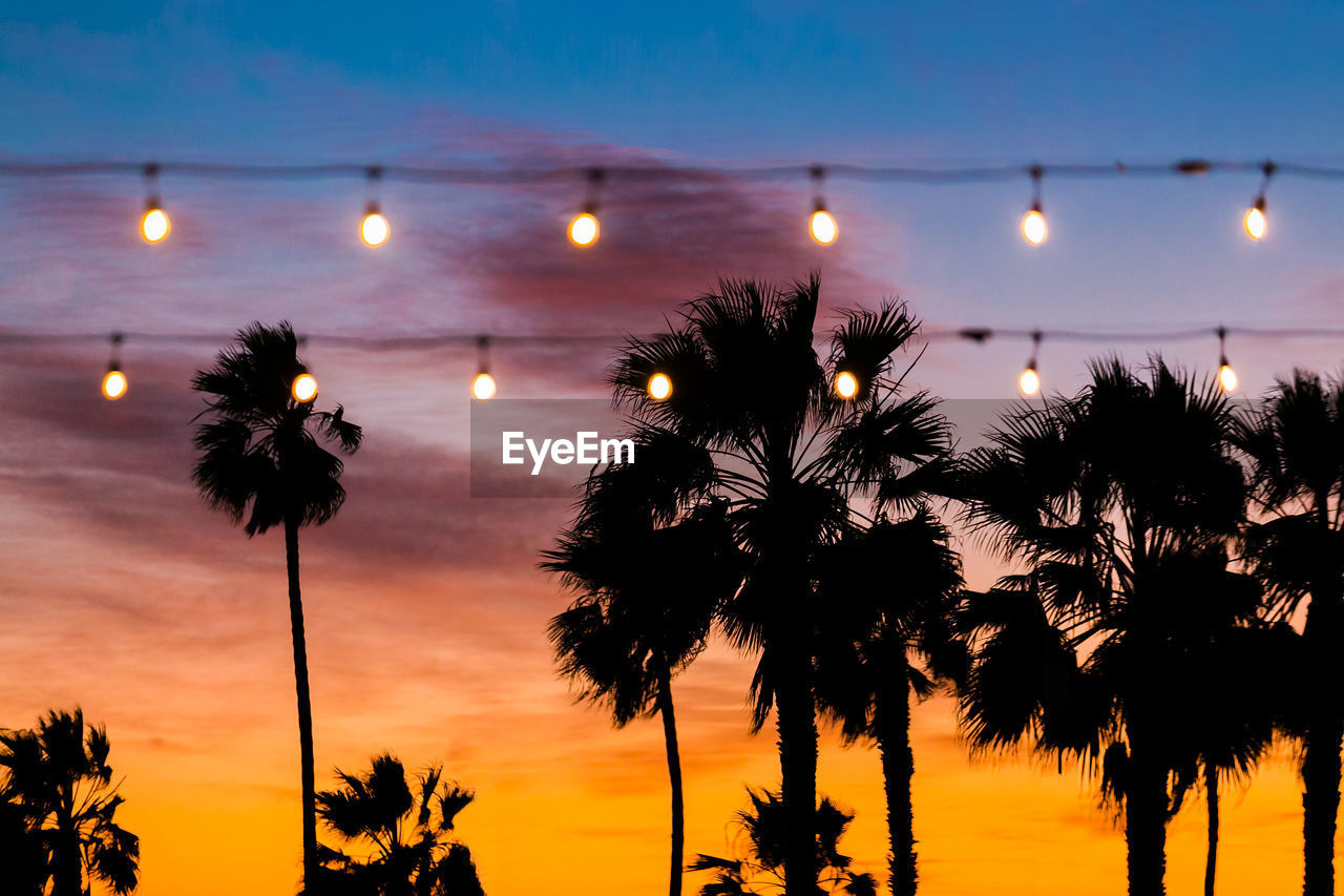 SILHOUETTE PALM TREES AGAINST SKY AT SUNSET