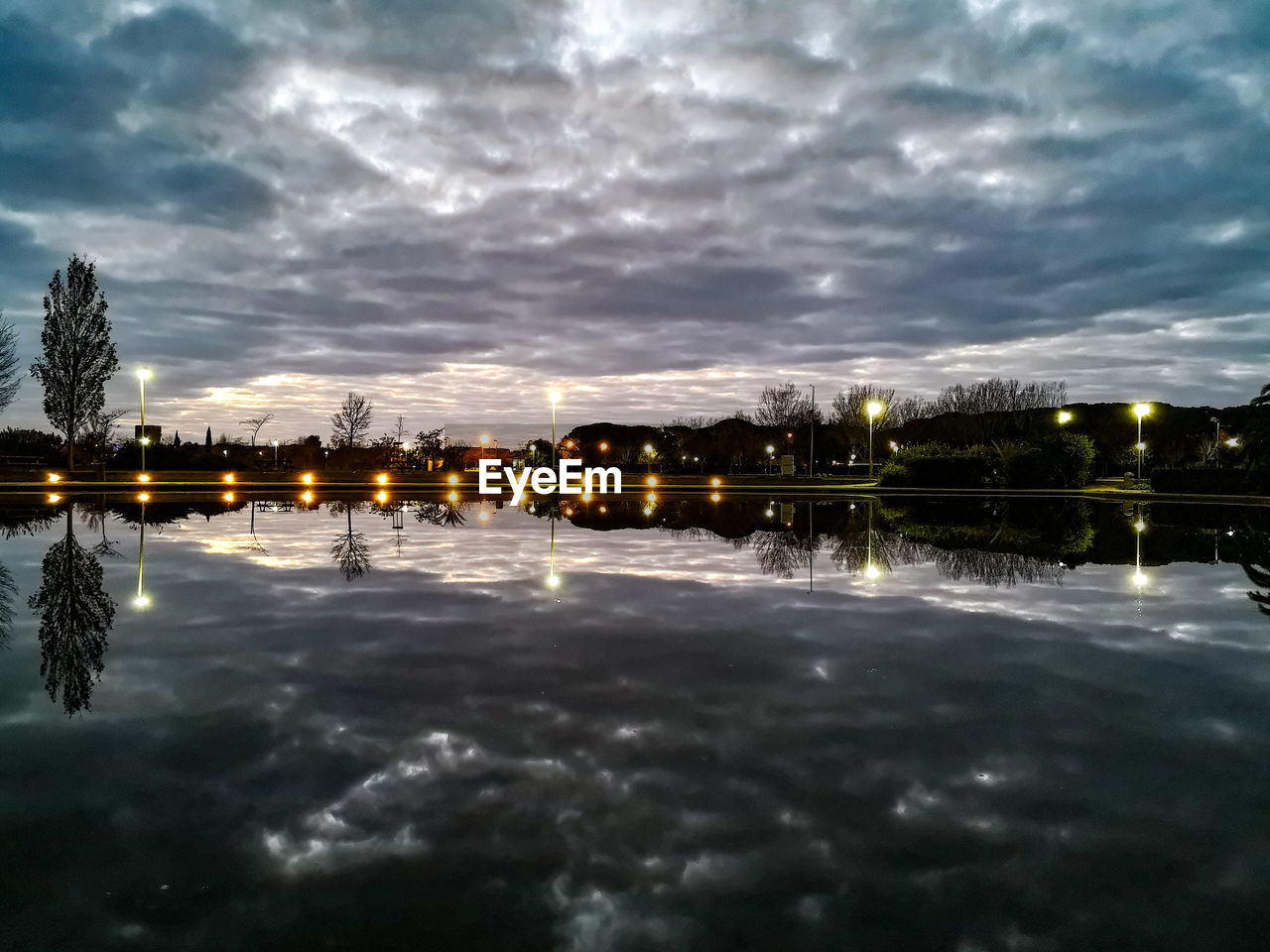 REFLECTION OF TREES IN PUDDLE AT NIGHT