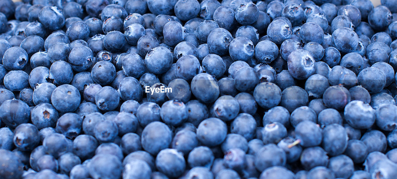 Full frame shot of blueberries