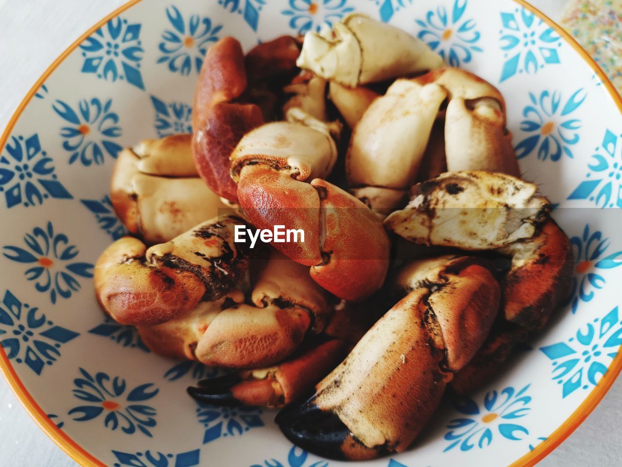 food and drink, food, healthy eating, plate, wellbeing, freshness, produce, no people, dish, indoors, vegetable, fruit, plant, seafood, meal, pattern, breakfast, high angle view, cuisine, blue, crustacean, close-up, studio shot, floral pattern