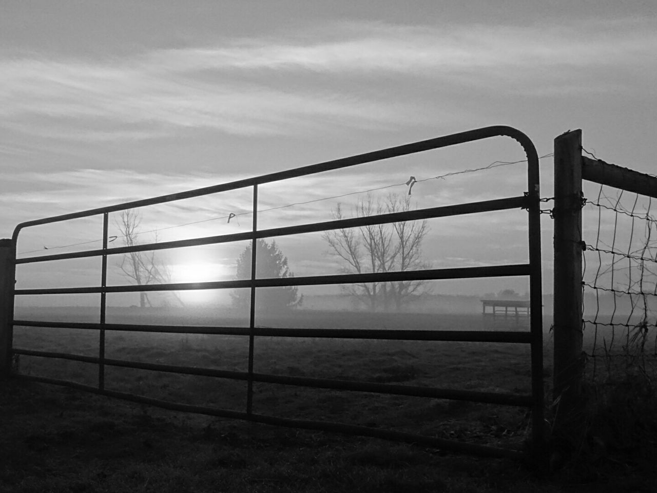Fence on field against sky during foggy sunrise