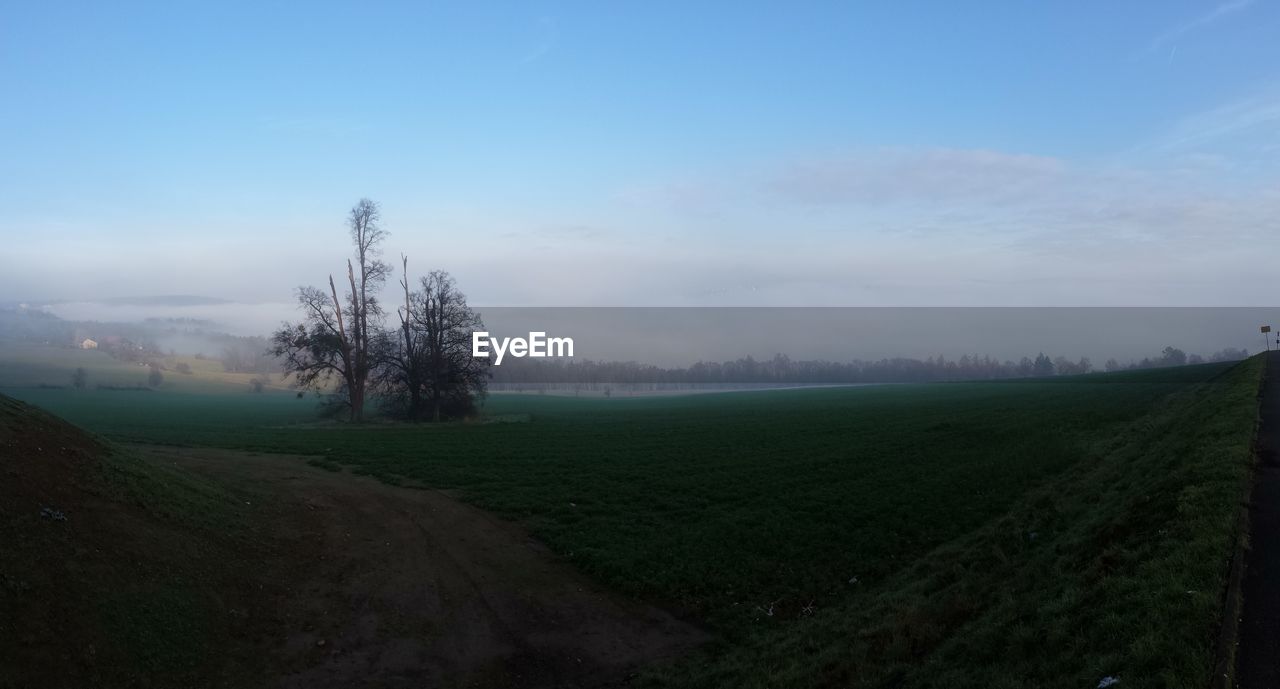 SCENIC VIEW OF RURAL LANDSCAPE