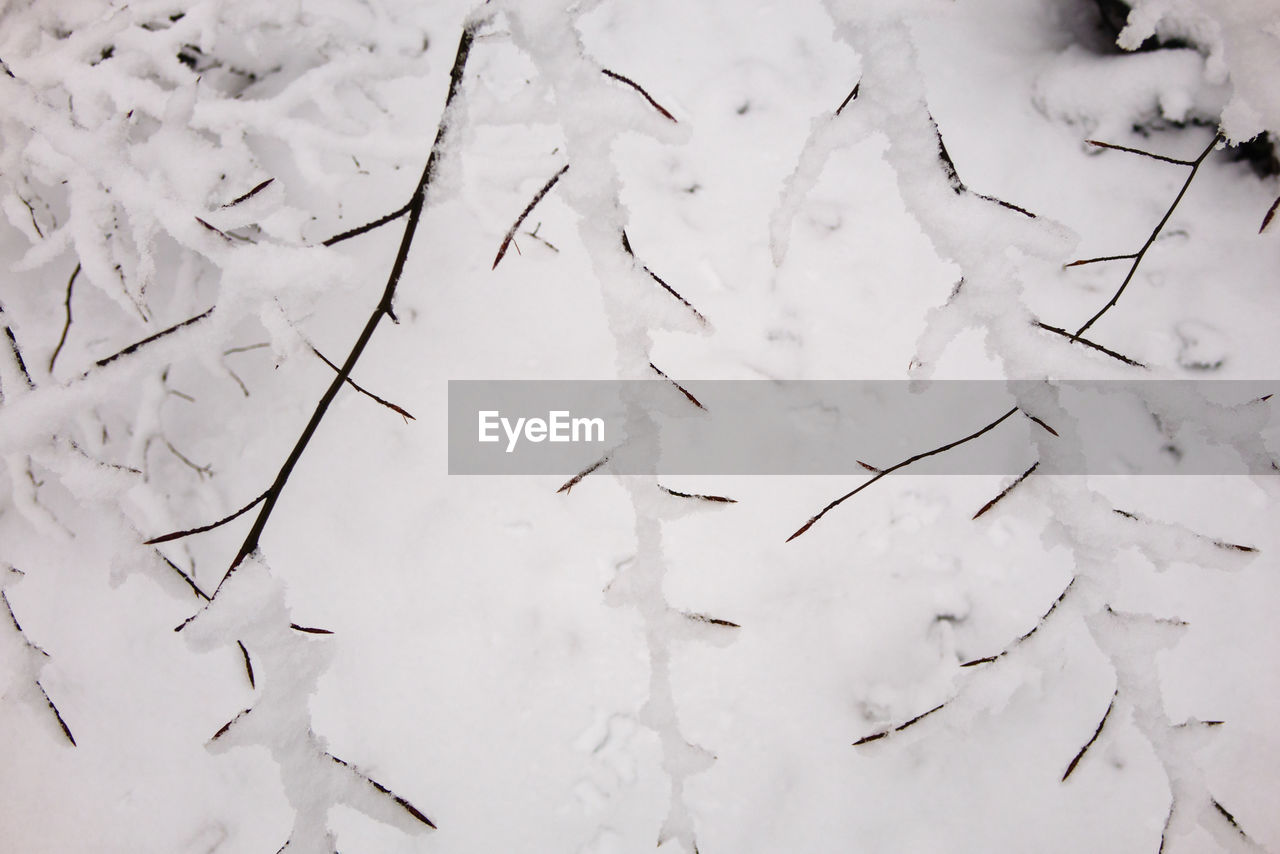 FULL FRAME SHOT OF WHITE SURFACE